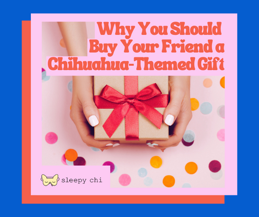 a blue background with an image of hands holding a present and the blog post title "Why You Should Buy Your Favorite Dog Lover a Chihuahua Gift"