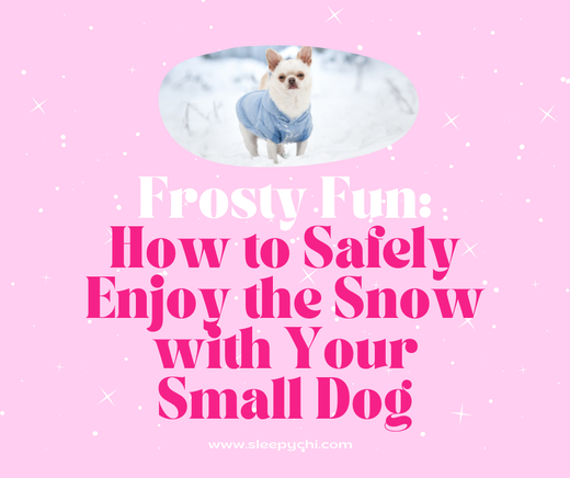 A pink graphic with white snow and a white chihuahua in a sweater with the blog title "Frosty Fun: How to Safely Enjoy the Snow with Your Small Dog"
