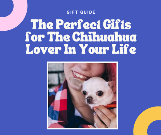A purple graphic with a woman holding a white shorthaired chihuahua and the blog title "The Perfect Gifts for The Chihuahua Lover In Your Life"