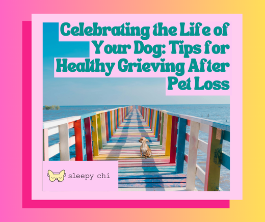 a yellow and pink ombre background with a picture of a small dog on a rainbow bridge and the blog title "Celebrating the Life of Your Dog: Tips for Healthy Grieving After Pet Loss"