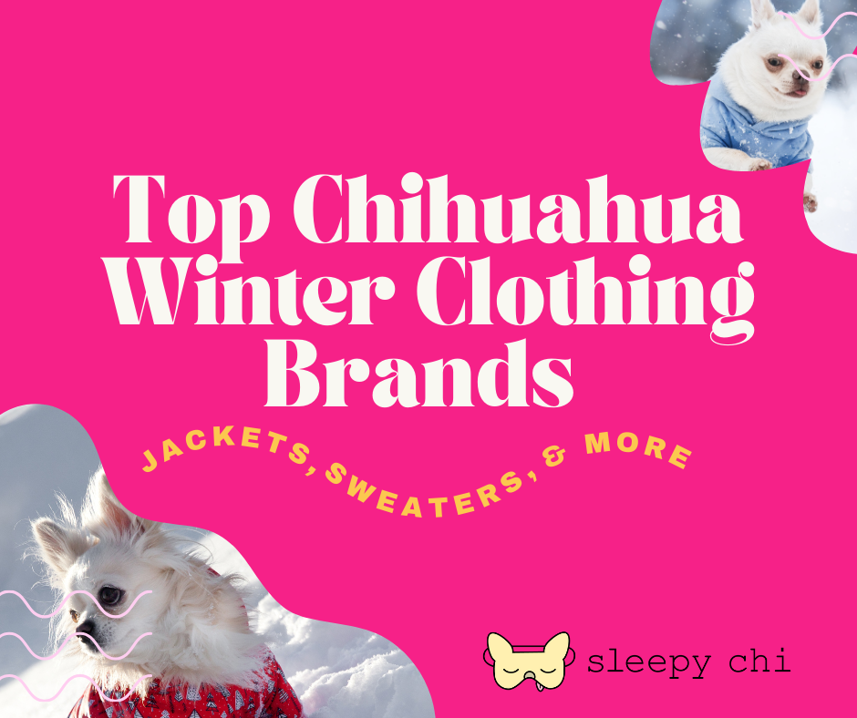 Top Chihuahua Winter Clothing Brands: Jackets, Sweaters & More