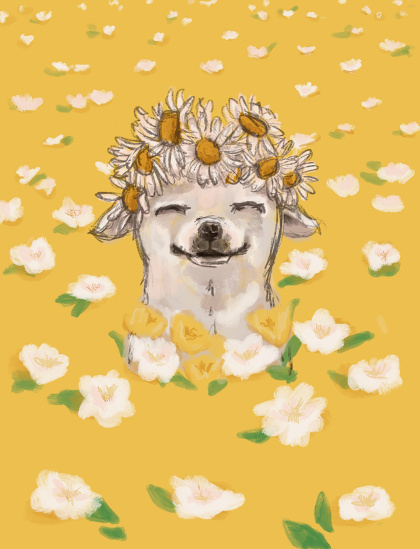 Flower Power