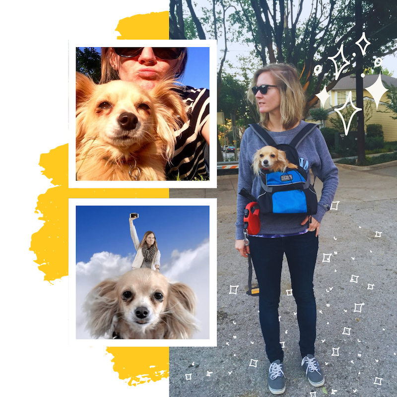 a collage of a woman wearing sunglasses and a blonde chihuahua being carried in a travel bag
