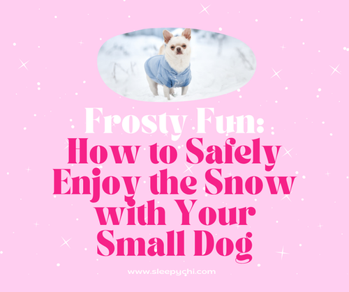 Enjoy Snow Frosty Fun: How to Safely Enjoy the Snow with Your Small Dog – Sleepy Chi