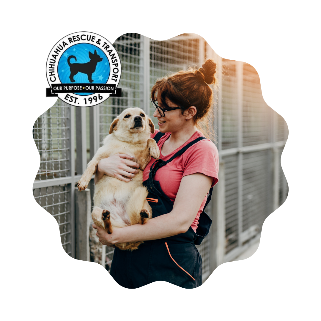 girl holding a medium sized dog at a rescue