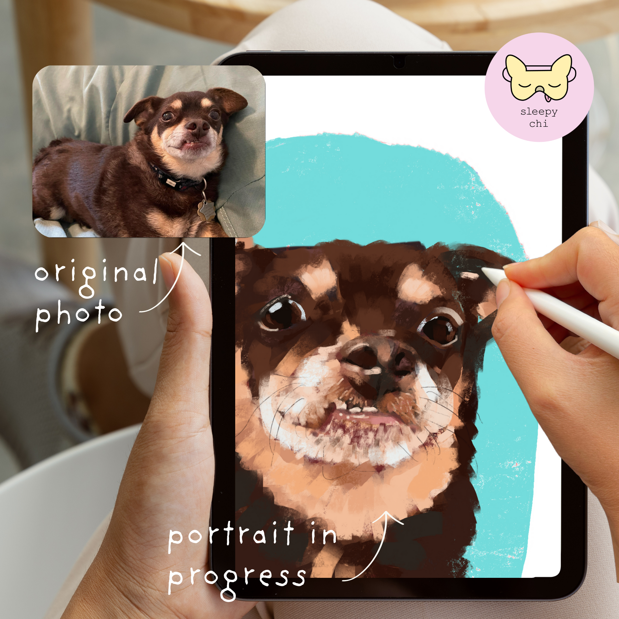 a derpy chihuahua portrait - small dog close up on an ipad with a hand holding an apple pencil - custom art prints and dog paintings at sleepy chi