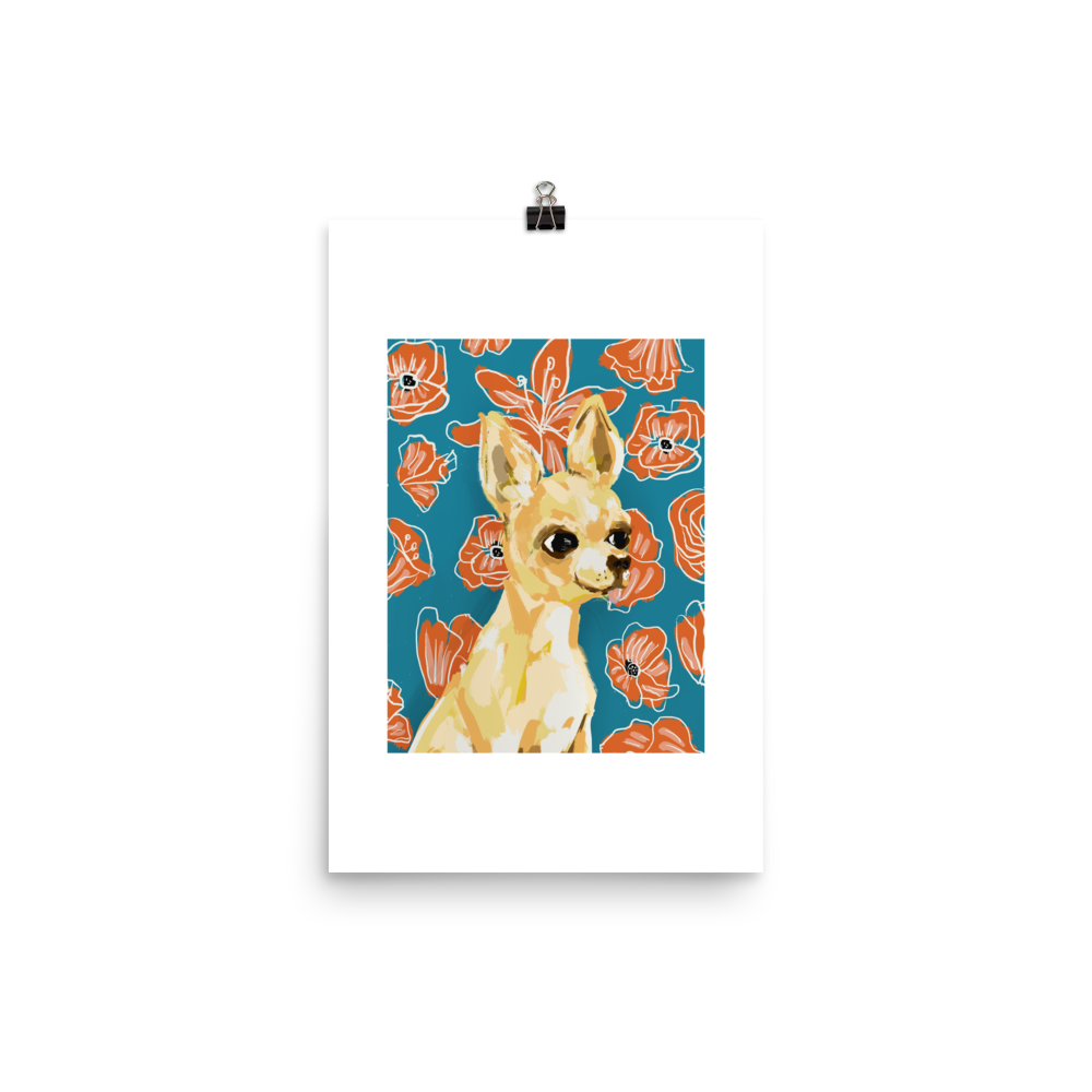 Chihuahua rescue north deals west