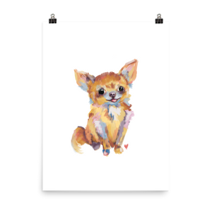 Fluffy Gizmo Chihuahua Art Print